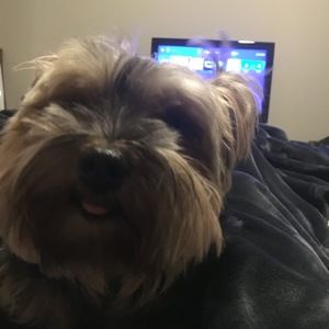 Meet your Posher, Allison